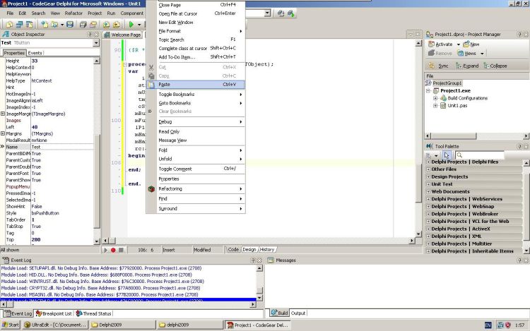 CodeGear Delphi paste button