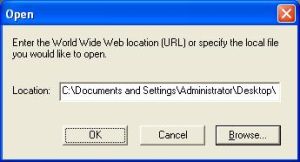 Adobe Flash Player open file