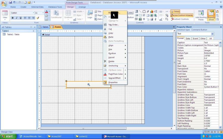 Microsoft Office Access button