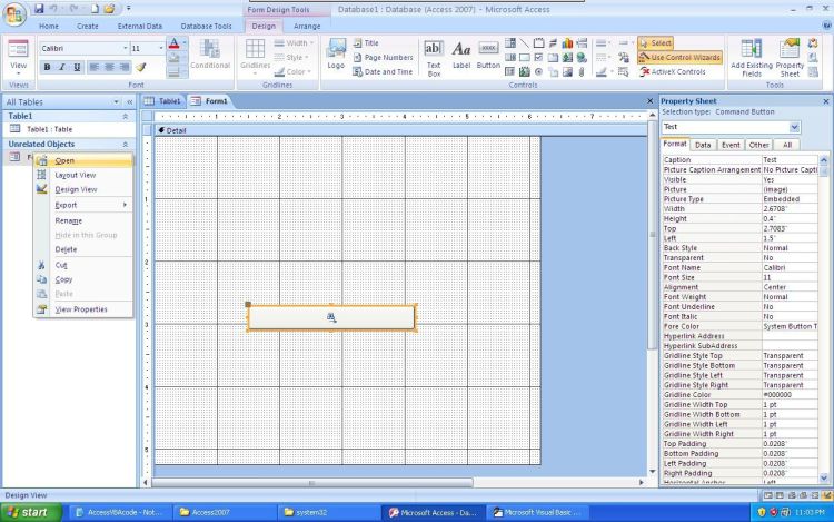 Microsoft Office Access open form for testing